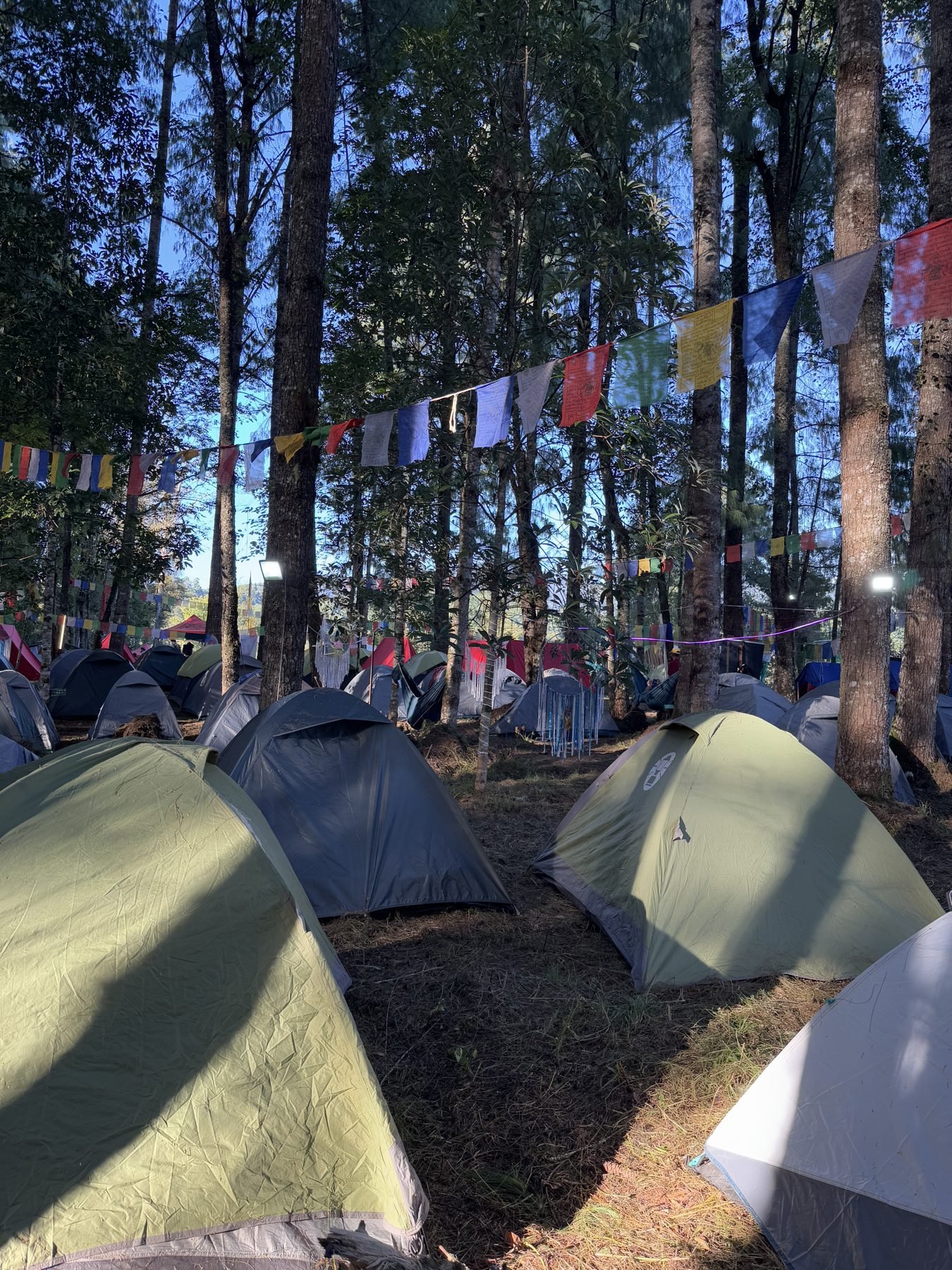 Rows of pitched tents at Northeast Basecamp