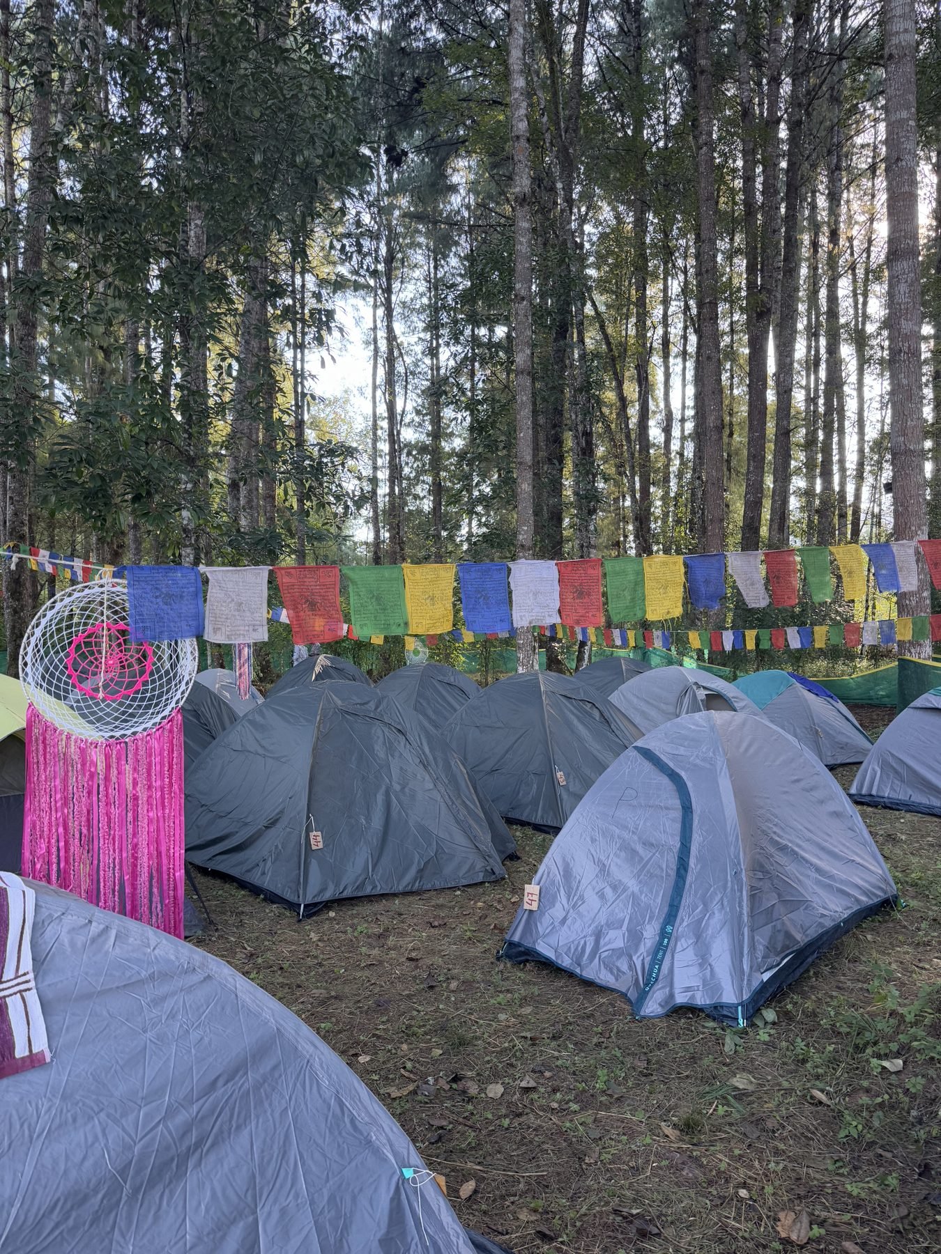 Dome tents at the Northeast Basecamp campsite