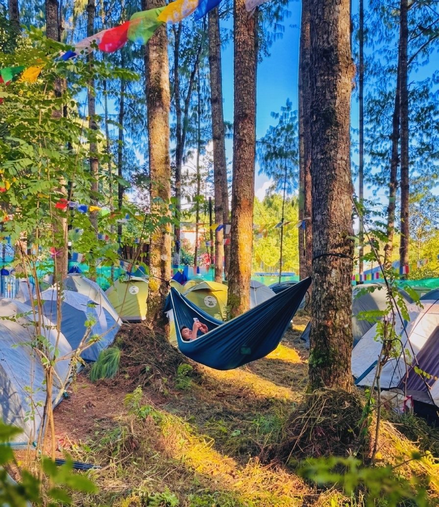 Hammock in a forest campsite surrounded by tents