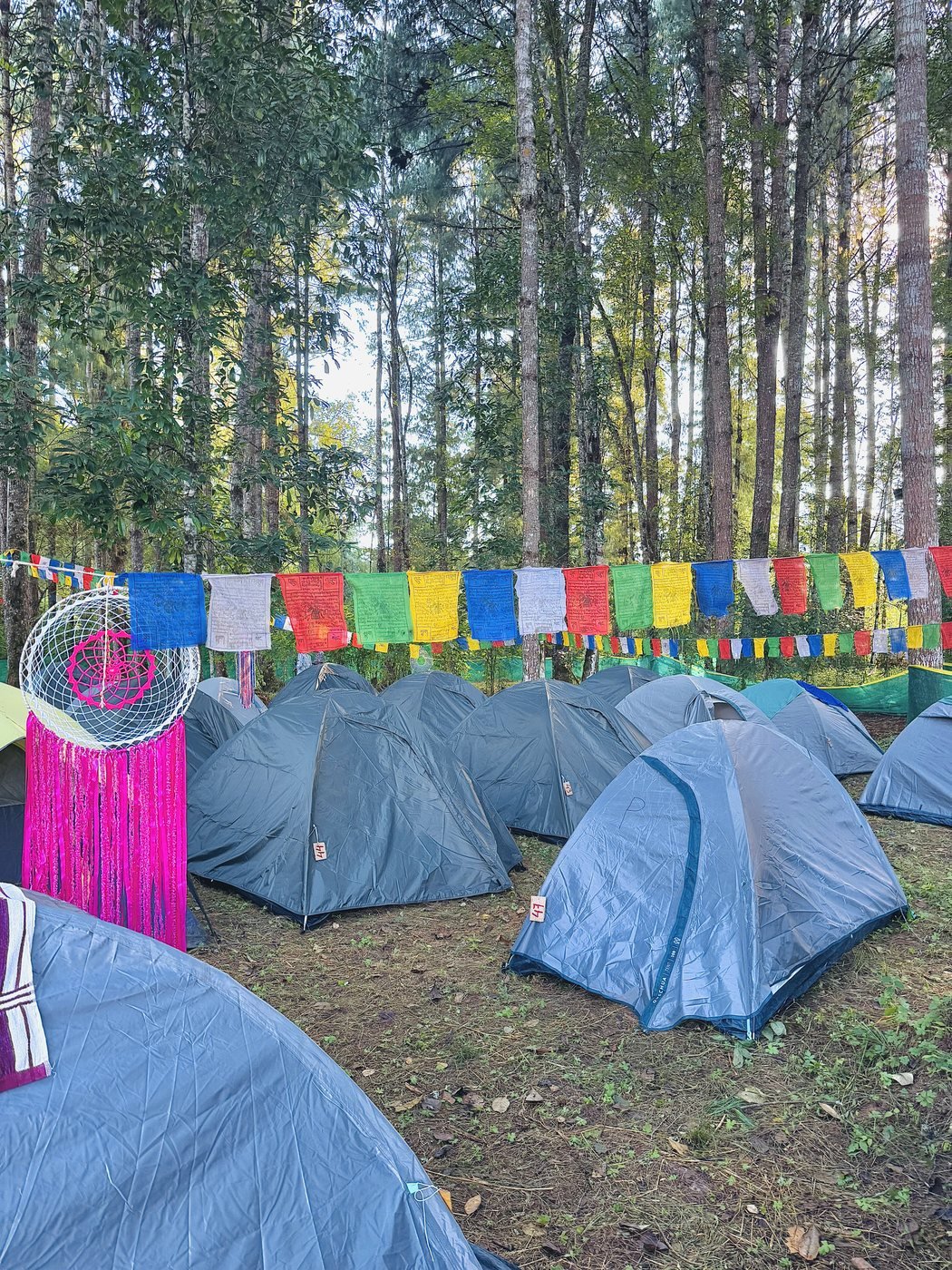 Tents and colourful flags in a forest campsite