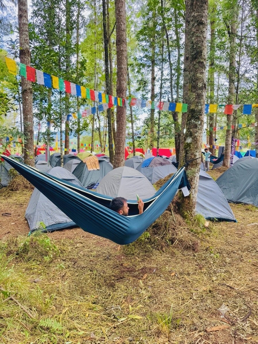 Guest relaxing in a hammock among the tents