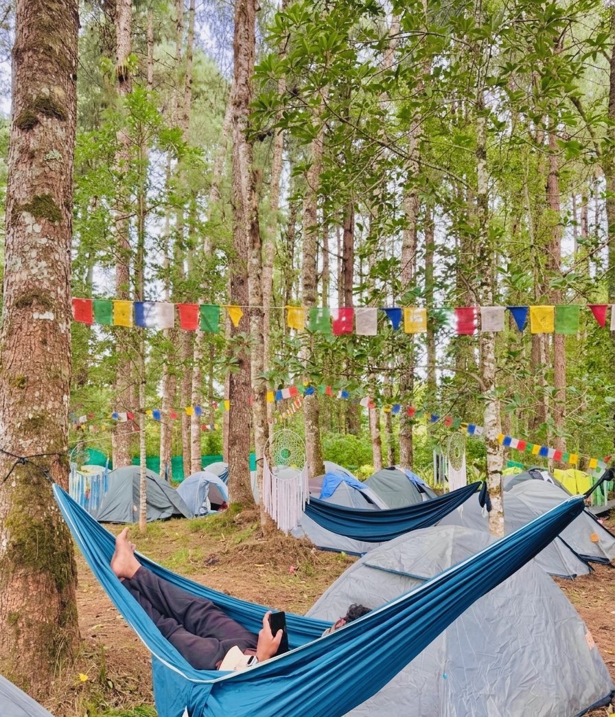 Hammocks and tents in the forest Basecamp