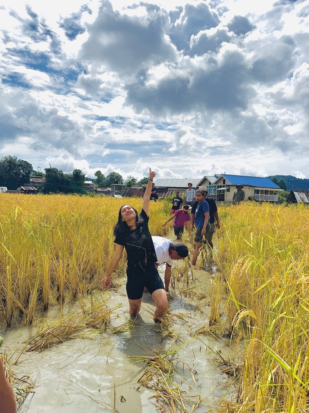 Guests walking through a Ziro paddy field