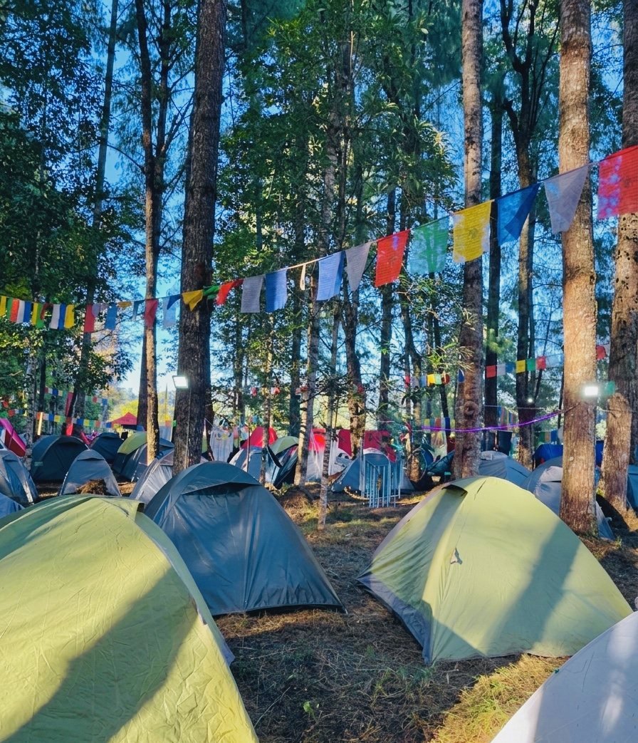 Forest campsite tents beneath colourful flags