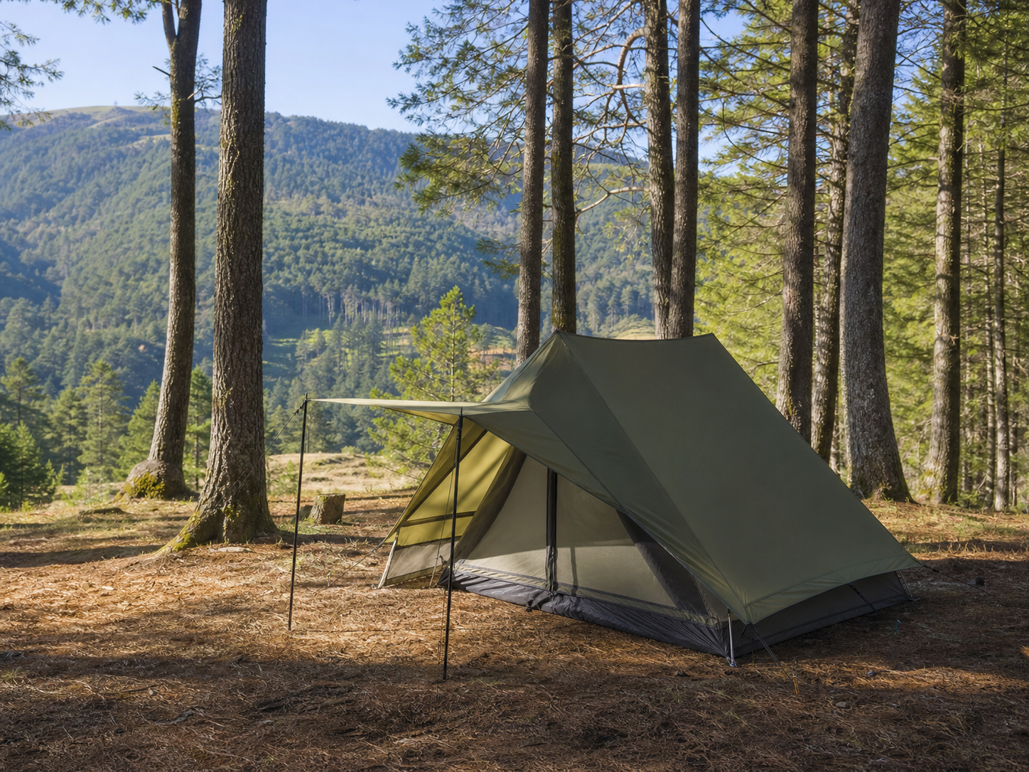 Two-person alpine tent at the Ziro Valley campsite